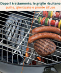 Reinigungsset für Grill und Rost