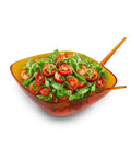 Salatschüssel PICASSO 30 cm mit Besteck – Eleganz und Funktionalität aus SAN-Harz