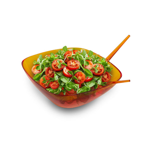 Salatschüssel PICASSO 30 cm mit Besteck – Eleganz und Funktionalität aus SAN-Harz