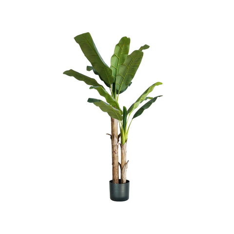 garden friend Bananenpflanze aus Polyethylen und Topf mit 17 Blättern 170cm ean 8023755056506