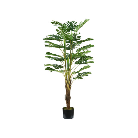 Monstera-Pflanze aus Polyethylen mit 24 Blättern und Übertopf mit Moos, 120cm
