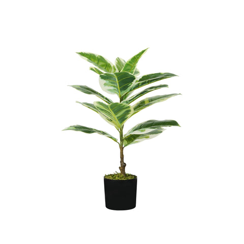 garden friend Ficus elastica aus Polyethylen mit 15 Blättern und Topf mit Moos 65cm ean 8023755056728