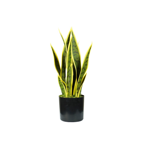 Garden Friend Sansevieria Pflanze aus Polyethylen mit 12 Blättern im Topf mit Moos 45 cm EAN 8023755056735