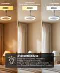 Deckenventilator mit dimmbarer 10-W-LED-Leuchte – 3 Geschwindigkeitsstufen, 4-Stunden-Timer und Fernbedienung – Durchmesser 25 cm, E27-Fassung, Leistung 55 W – warmes, natürliches und kaltes Licht – leise