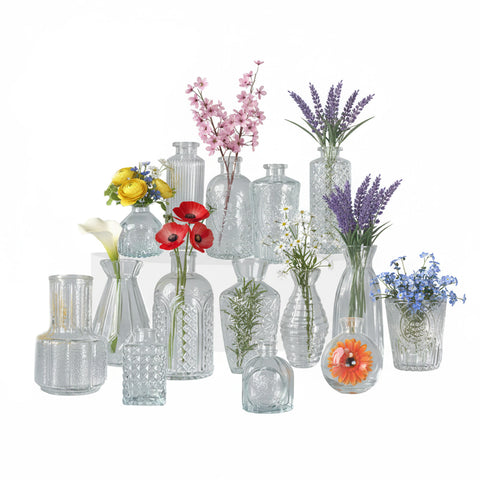 Set mit 15 transparenten Glasvasen für Blumen und Tischdekorationen in verschiedenen Formen und Größen