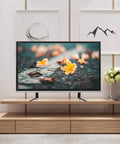 Doppelständer für TV und Monitor von 23 bis 75 Zoll