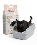 Pflanzliches Saugstreu 6 l - Katzenstreu 4+2 gratis