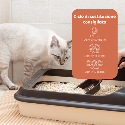 Pflanzliches Saugstreu 6 l - Katzenstreu 4+2 gratis