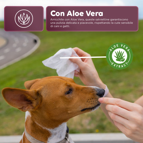 Pets-Feuchttücher 40 / 480 Stück mit Aloe – Reinigungs- und Deodorierungstücher für den täglichen Gebrauch