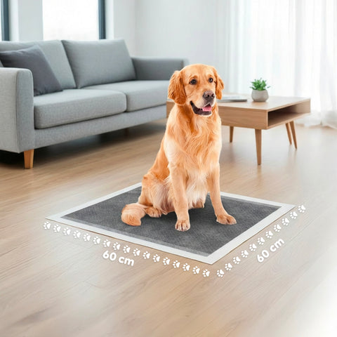 Hygienische Saugmatten für Haustiere mit Aktivkohle 60×60 – Mehrformat-Set gegen Gerüche mit Klebestreifen