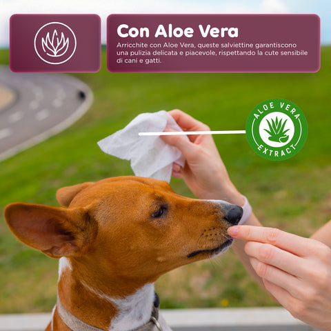 Pets-Feuchttücher 40 / 480 Stück mit Aloe – Reinigungs- und Deodorierungstücher für den täglichen Gebrauch