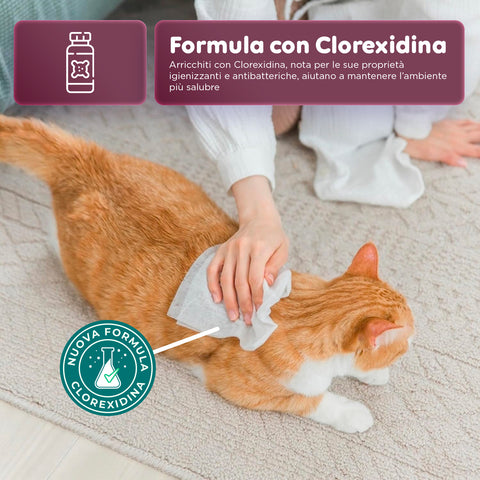 Pets-Feuchttücher 40 / 480 Stück mit Aloe – Reinigungs- und Deodorierungstücher für den täglichen Gebrauch