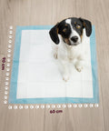 Hygienische Welpenunterlagen Essential 60×90 – Mehrformat-Set mit Klebestreifen