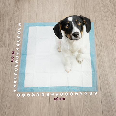 Hygienische Welpenunterlagen Essential 60×90 – Mehrformat-Set mit Klebestreifen