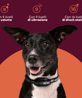 Erziehungshalsband für große/kleine Hunde - wasserdicht und Steuerung bis zu 1000 m