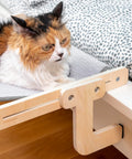 Hängendes Katzenbett von Puppy Lovers mit entspanntem dreifarbigem Kater, robuste Konstruktion aus natürlichem Holz, maximaler Komfort