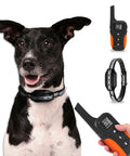 Erziehungshalsband für große/kleine Hunde - wasserdicht und Steuerung bis zu 1000 m