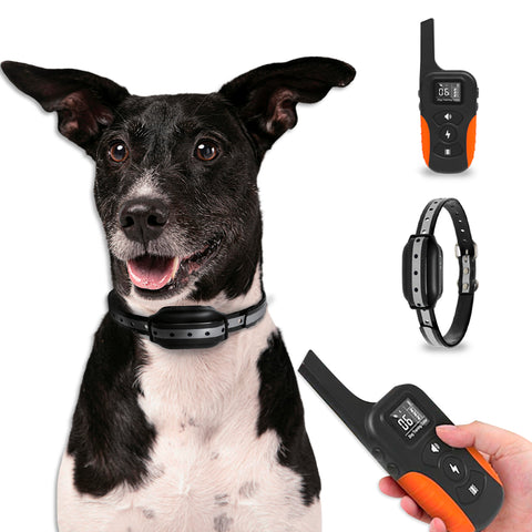 Erziehungshalsband für große/kleine Hunde - wasserdicht und Steuerung bis zu 1000 m