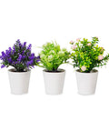 Garden Friend Set aus 3 künstlichen Zimmerpflanzen mit modernen Töpfen für Haus oder Büro EAN 8023755068431