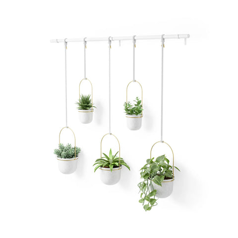 Bild-1-umbra-set-5-hängende-Blumentöpfe-mit-Stange-weiß-ean-028295374866
