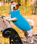 bild-11-im-fernsehen-gesehen-hundedecke-mit-ärmeln-ean-7569000696031