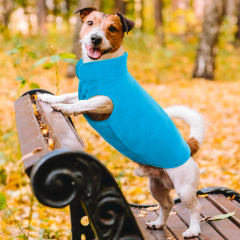 bild-11-im-fernsehen-gesehen-hundedecke-mit-ärmeln-ean-7569000696031