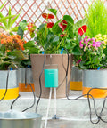 bild-2-innovagoods-tropfbewässerungssystem-für-8-topfpflanzen-ean-8435527821050