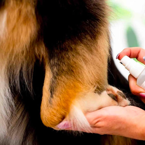 bild-2-smapiu-spray-fellparfüm-für-tiere-talkum-55ml-ean-8033765130806