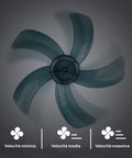 Bild-3-dcg-Wandventilator-5-Flügel-3-Geschwindigkeitsstufen-mit-Fernbedienung-60-W-schwarz-EAN-8052780962575