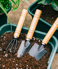 Bild-3-Garden-Friend-Korb mit 4 Handgartengeräten-EAN-8023755019570