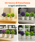 Garden Friend Set aus 3 künstlichen Zimmerpflanzen mit modernen Töpfen für Haus oder Büro EAN 8023755068431