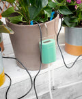 bild-3-innovagoods-tropfbewässerungssystem-für-8-topfpflanzen-ean-8435527821050