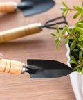Bild-4-Garden-Friend-Korb mit 4 Handgartengeräten-EAN-8023755019570