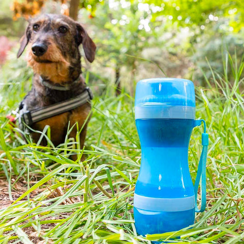 bild-4-innovagoods-flasche-mit-spender-für-wasser-und-futter-für-haustiere-300-200ml-ean-8435527816711
