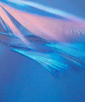 bild-4-wenko-wc-sitz-duroplast-sanftes-schließen-ean-4008838353165