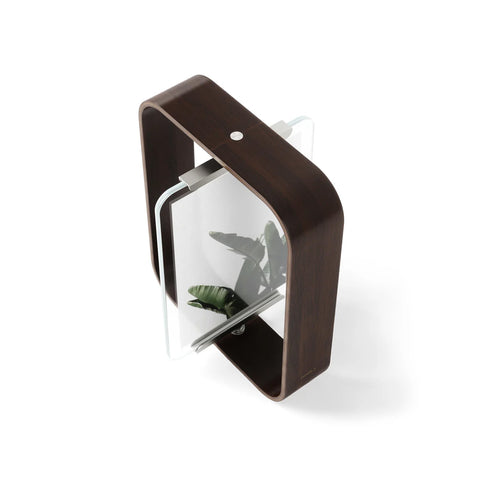 bild-5-umbra-rechteckiger-standbilderrahmen-19x5x24cm-walnuss-ean-028295398534