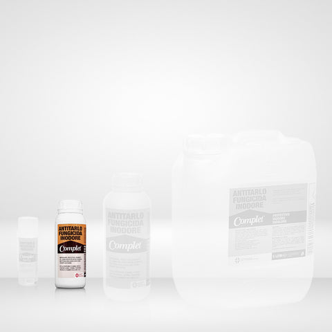 bild-6-ecolkem-holzwurm-und-pilzbehandlung-für-holz-500ml-ean-8030900615549