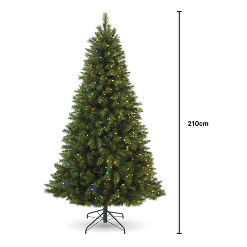 Bild-6-feeric-lights-and-christmas-Weihnachtsbaum-922-Zweige-210cm-EAN-3560237289540