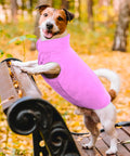 bild-6-im-fernsehen-gesehen-hundedecke-mit-ärmeln-ean-7569000696031