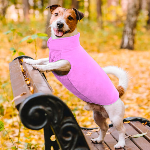 bild-6-im-fernsehen-gesehen-hundedecke-mit-ärmeln-ean-7569000696031
