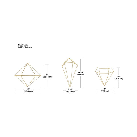 Bild-7-umbra-set-6-dekorative-Wandpflanzgefäße-prisma-gold-ean-028295409049