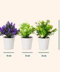Garden Friend Set aus 3 künstlichen Zimmerpflanzen mit modernen Töpfen für Haus oder Büro EAN 8023755068431