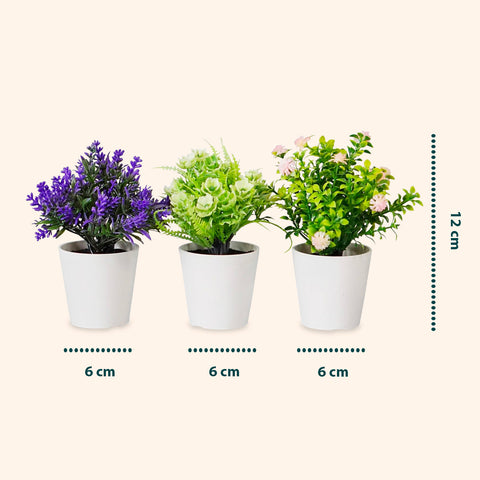 Garden Friend Set aus 3 künstlichen Zimmerpflanzen mit modernen Töpfen für Haus oder Büro EAN 8023755068431