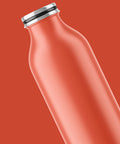Bild-88-wintem-Thermosflasche-2-lagiger-Stahl-EAN-8052286430141