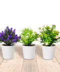 Garden Friend Set aus 3 künstlichen Zimmerpflanzen mit modernen Töpfen für Haus oder Büro EAN 8023755068431