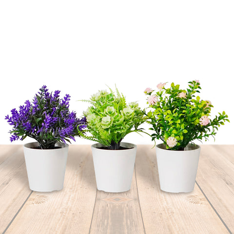 Garden Friend Set aus 3 künstlichen Zimmerpflanzen mit modernen Töpfen für Haus oder Büro EAN 8023755068431