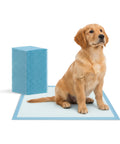 Puppy Lovers Essential Hygienematten 60x90 Set in verschiedenen Größen mit Klebestreifen EAN 8054806950870