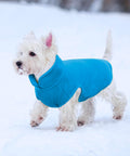 bild-9-im-fernsehen-gesehen-hundedecke-mit-ärmeln-ean-7569000696031