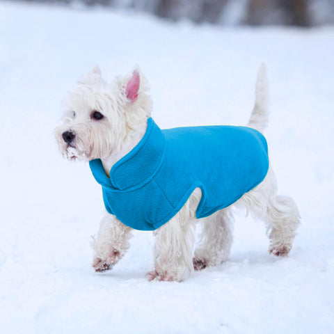 bild-9-im-fernsehen-gesehen-hundedecke-mit-ärmeln-ean-7569000696031