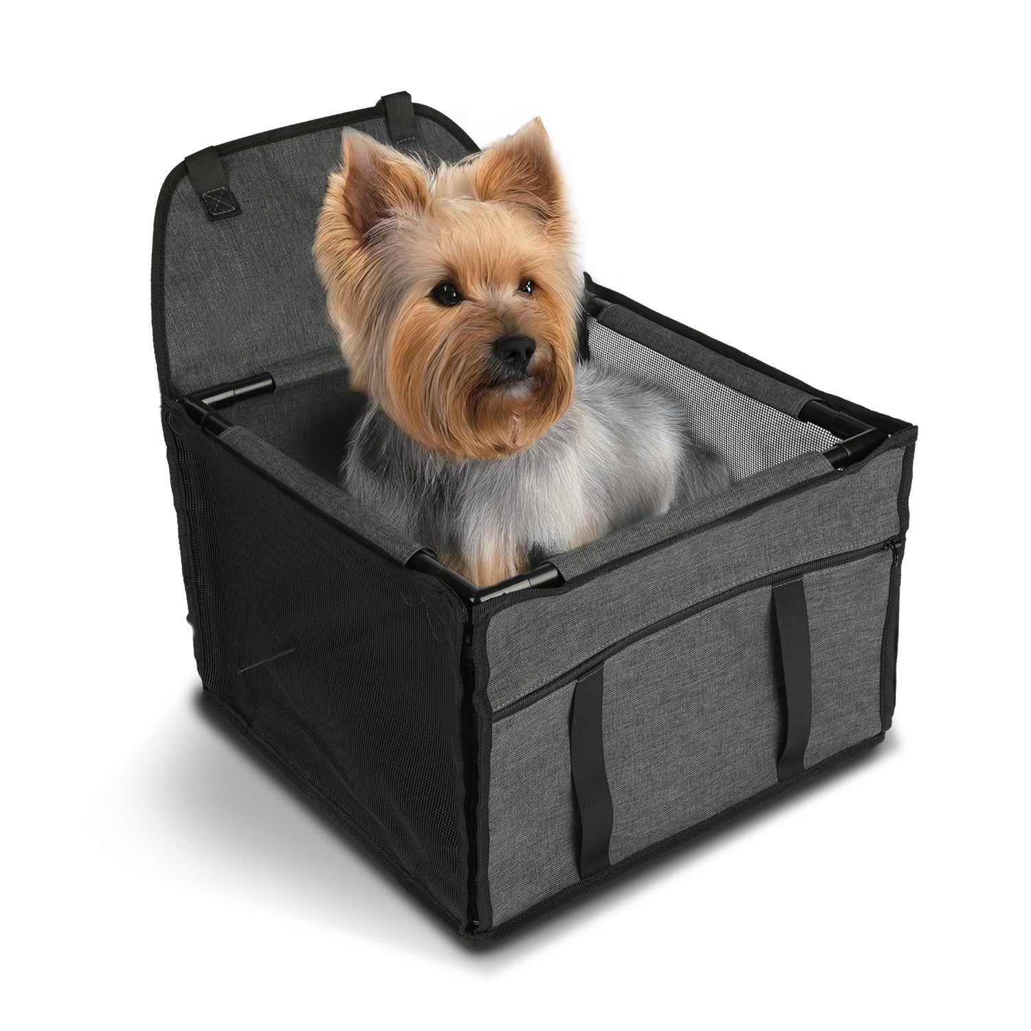 Yorkshire Terrier bequem und sicher im grauen Autositz mit atmungsaktivem Netz und Frontöffnung für kleine Hunde